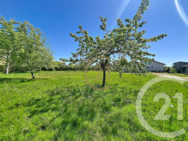 terrain à vendre - 700.0 m2 - LUXEUIL LES BAINS - 70 - FRANCHE-COMTE - Century 21 Gsm Immo